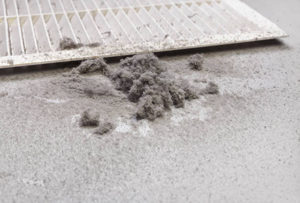 Best Air Duct Cleaning Near Me  in Kailua, HI