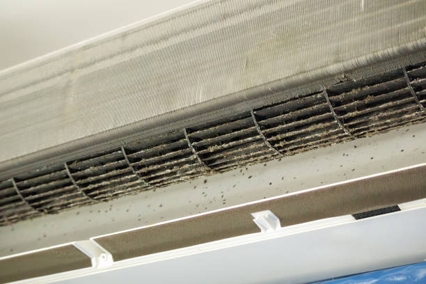 Best Residential Air Duct Cleaning  in Kailua, HI